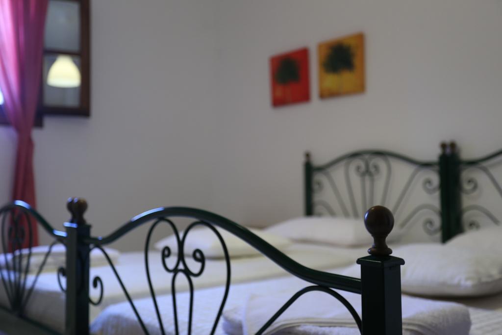 Agerino Apartment Moutsouna Room photo